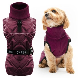 Chaba kubrak Chic Burgund