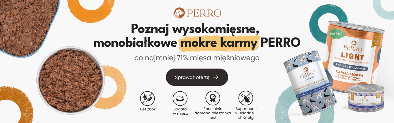 Perro