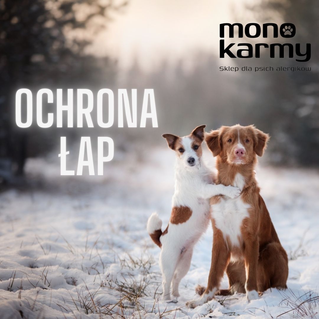 Ochrona łap zimą
